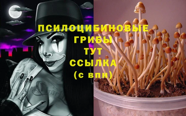 mdpv Вяземский