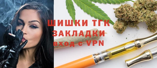 mdpv Вяземский