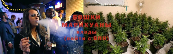 mdpv Вяземский