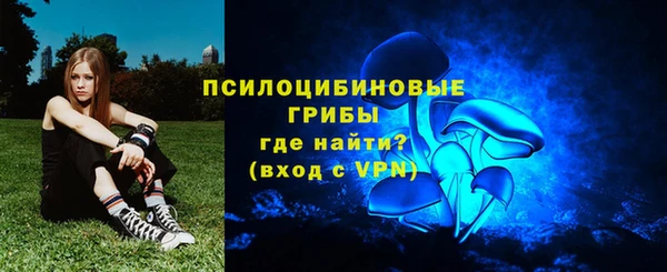 mdpv Вяземский