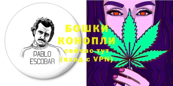 mdpv Вяземский